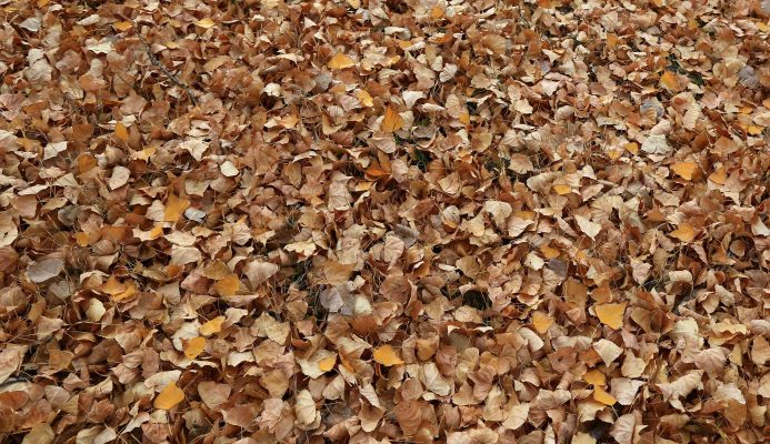 types of mulches