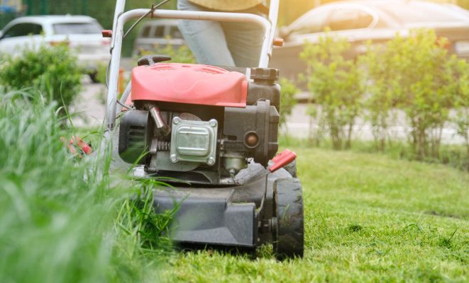 maintenance lawn mower